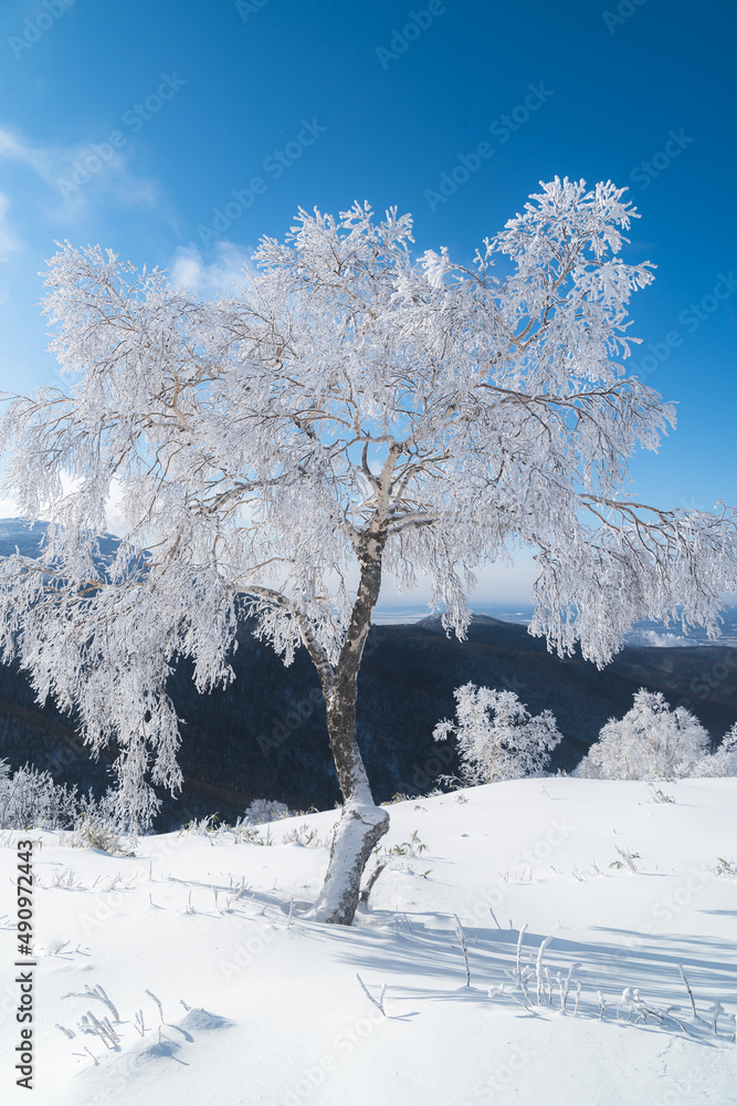 A tree A tree