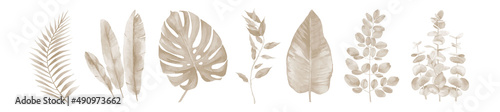 Watercolor beige leaves. Watercolour dry leaf set on white background.