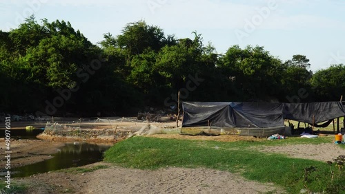 Wide shot showing duck and chicken farm in rural area of Vietnam during sunny day photo