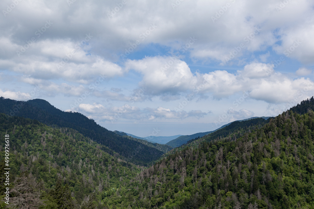 Changing Environment at Morton Overlook Changing Environment at Morton Overlook