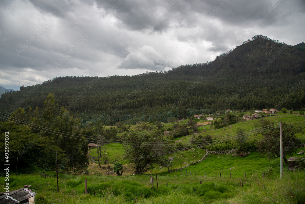 Fototapeta premium Country landscape with mountains full of pine trees in the department of Boyacá. Colombia.