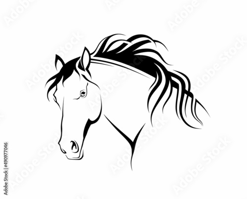 Fototapeta Naklejka Na Ścianę i Meble -  Silhouette head horse. vector illustration