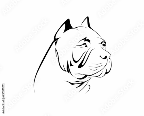 American Pitbull Terrier dog. vector illustration