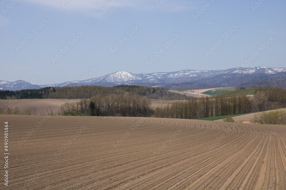 春の丘陵畑作地帯と残雪の山並み
