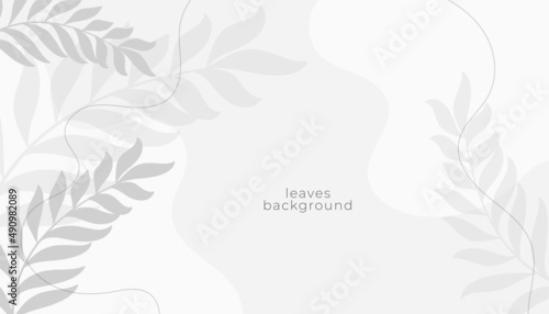 white nature leaves minimal backgroud