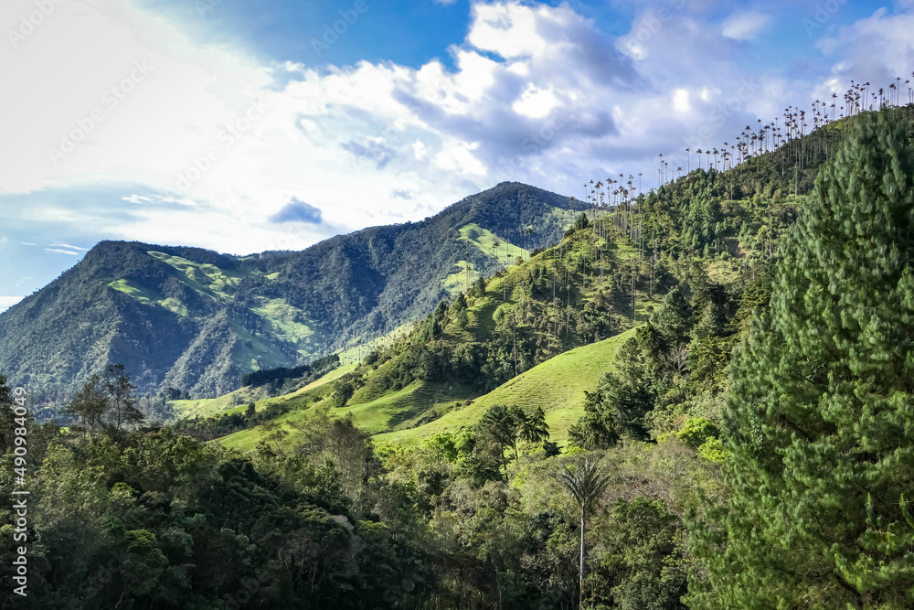 Panoramic view of mountains with wax palms, forest and meadows in Cocora Valley, Salento, Colombia