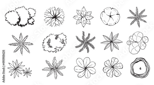 Illustration Top view ,set of trees elements outline symbol for architecture and landscape design drawing. 