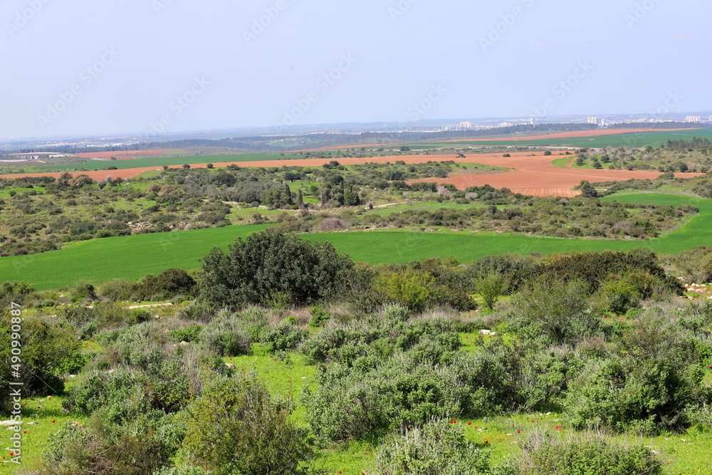 Beit Guvrin National Park. Israel.
Spring landscape.