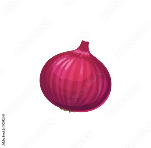 Isolated raw red onion bulb vegetable. Purple shallot farm fresh harvest, natural and healthy food or culinary seasoning ingredient. Cartoon vector whole bulb of red onion
