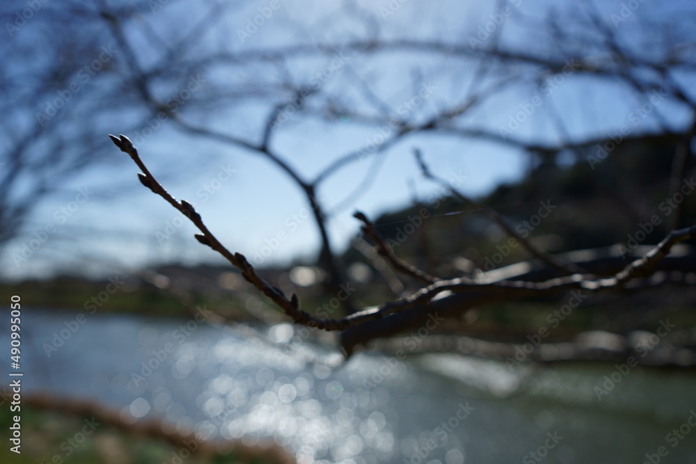 春 春