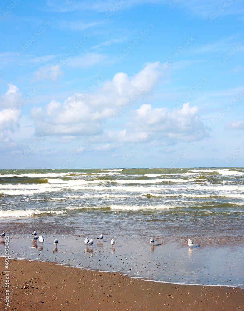 Coast of the Black Sea near Anapa during a storm in spring 