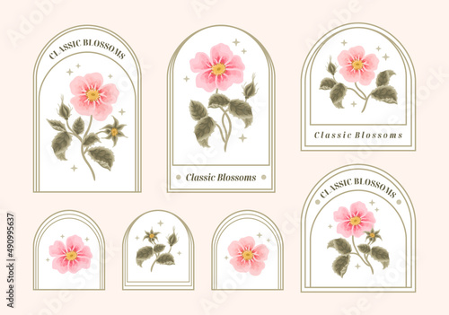 Set of vintage feminine beauty pink rose floral logo elements and label vector illustration templates with leaf branch and frame