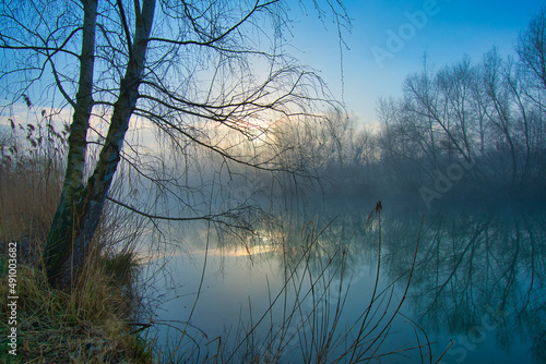 Nebeliger Morgen im grand Ried im elsass