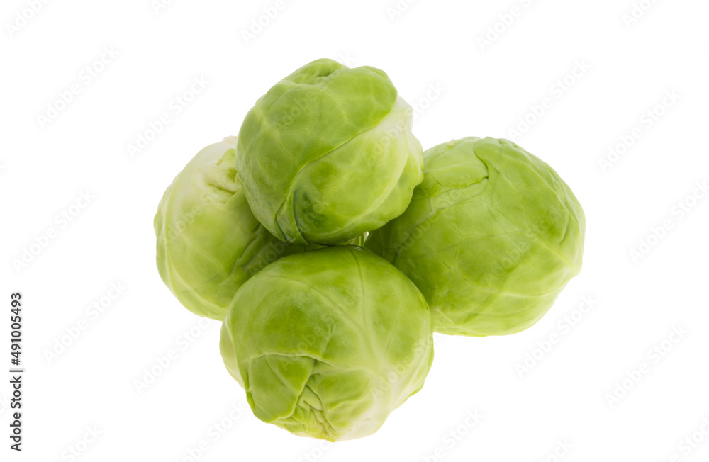 brussels sprouts isolated brussels sprouts isolated