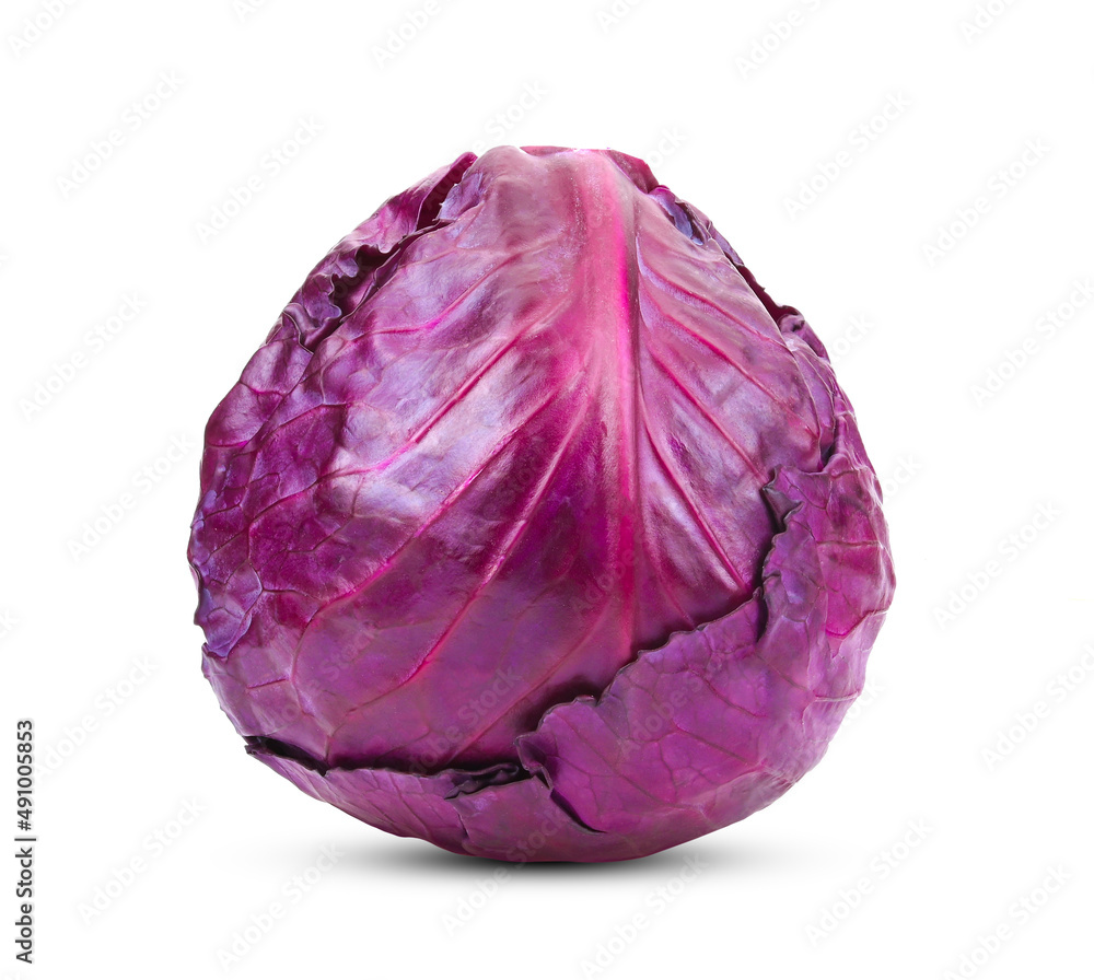 Fototapeta premium Red cabbage isolated on white