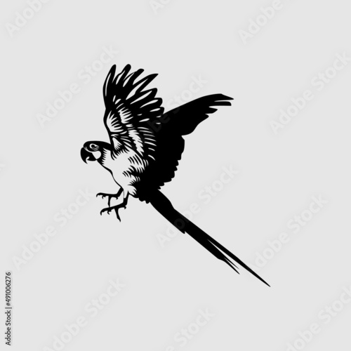 black and white macaw illustration