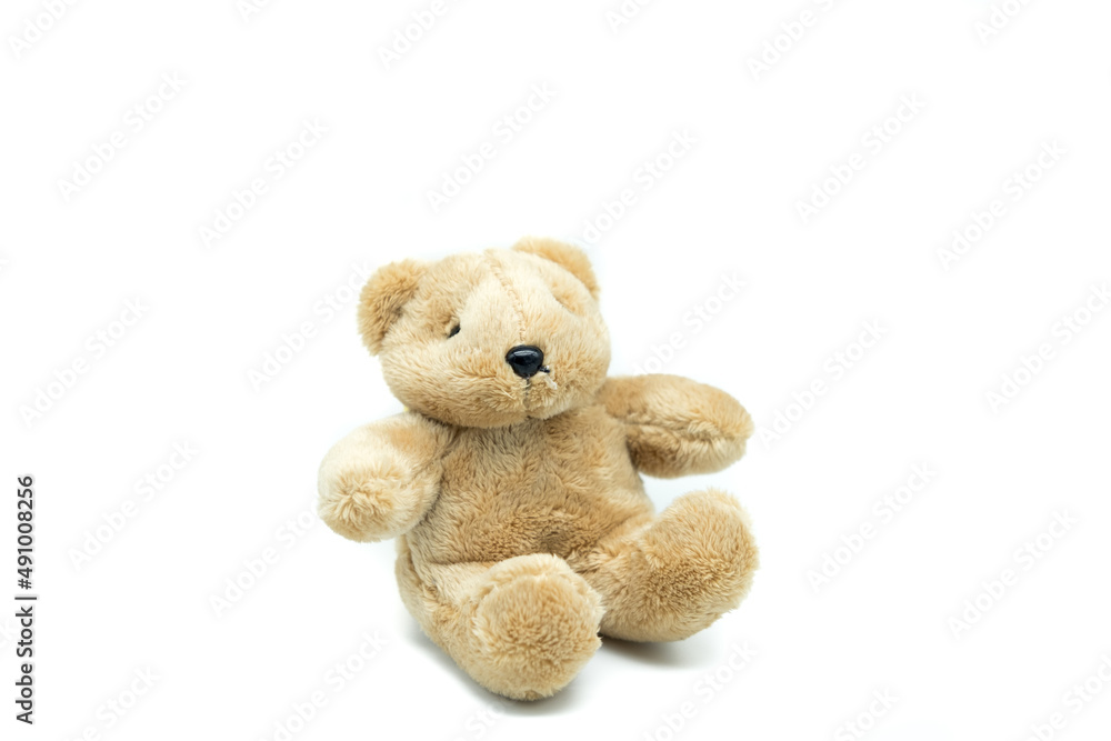 Obraz premium Cute Teddy Bear doll. Isolated on white background