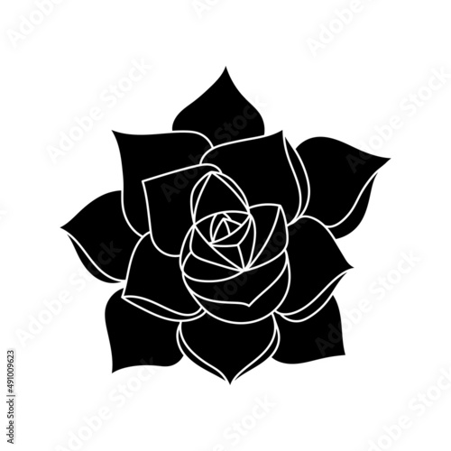 Succulent echeveria in simple style, vector illustration. Desert flower for print and design. Silhouette mexican plant, graphic isolated element on a white background. Houseplant for decor interior