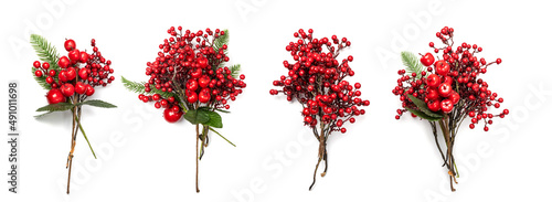 Christmas Branch with Red Berries