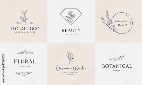 Botanical Floral element Hand Drawn Logo with Wild Flower and Leaves. Logo for spa and beauty salon, boutique, organic shop, wedding, floral designer, interior, photography, cosmetic.