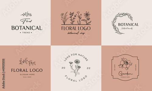 Botanical Floral element Hand Drawn Logo with Wild Flower and Leaves. Logo for spa and beauty salon  boutique  organic shop  wedding  floral designer  interior  photography  cosmetic.