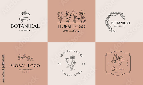 Botanical Floral element Hand Drawn Logo with Wild Flower and Leaves. Logo for spa and beauty salon, boutique, organic shop, wedding, floral designer, interior, photography, cosmetic.
