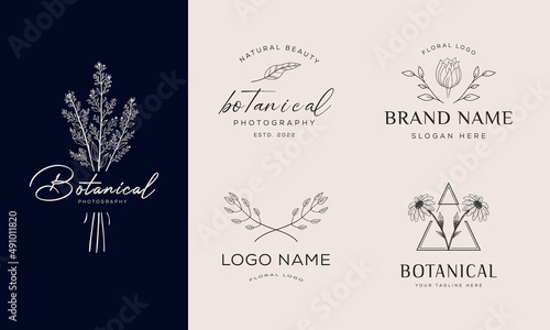 Botanical Floral element Hand Drawn Logo with Wild Flower and Leaves. Logo for spa and beauty salon, boutique, organic shop, wedding, floral designer, interior, photography, cosmetic.