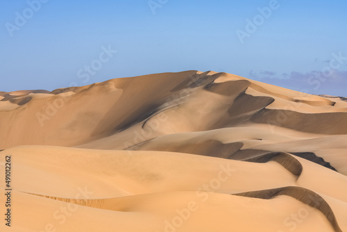 Namibia  the Namib desert  graphic landscape of yellow dunes  