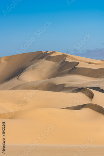 Namibia  the Namib desert  graphic landscape of yellow dunes  