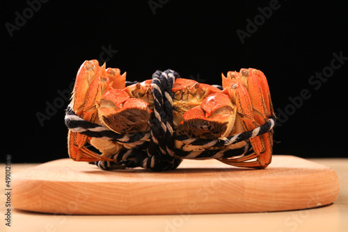 Hairy crab, Chinese delicacy photo