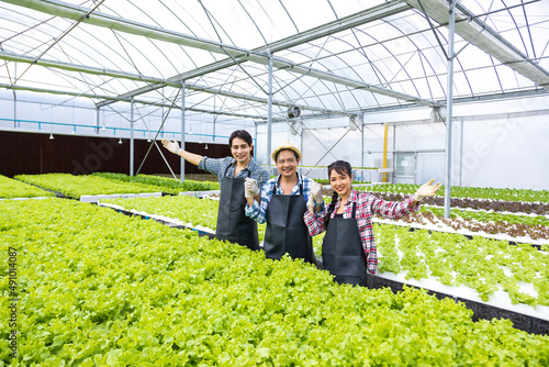 Asian local farmers growing their own green oak salad lettuce in the greenhouse using hydroponics water system in organic approach for family own business