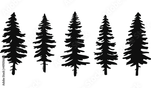 Fotografia Set of vector christmas tree silhouettes, traced outline, detailed silhouette of