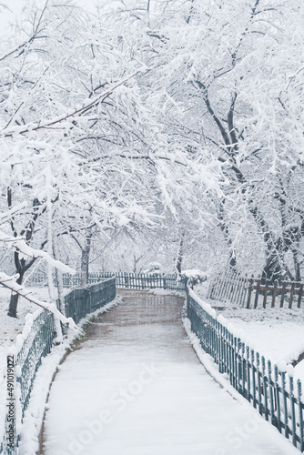 Winter Snow Scenery in Cherry Blossom Garden in East Lake Scenic Area, Wuhan, Hubei © Hao
