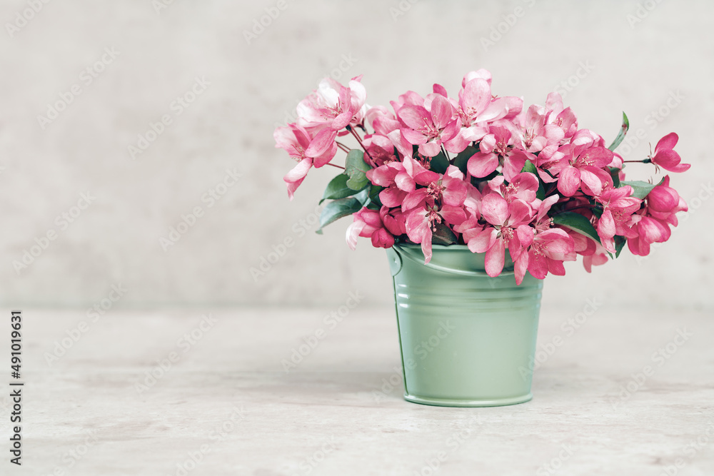 Pink spring flowers in a tiny olive bucket. Pastel gray beige cozy setup with copy space. Blooming fruit tree branch. Greeting card Pink spring flowers in a tiny olive bucket. Pastel gray beige cozy setup with copy space. Blooming fruit tree branch. Greeting card