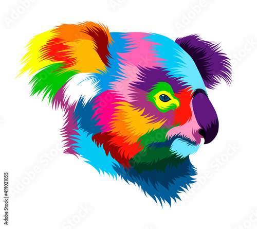 Abstract koala head portrait from multicolored paints. Colored drawing. Vector illustration of paints