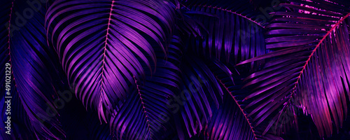 purple tropical palm leaf background