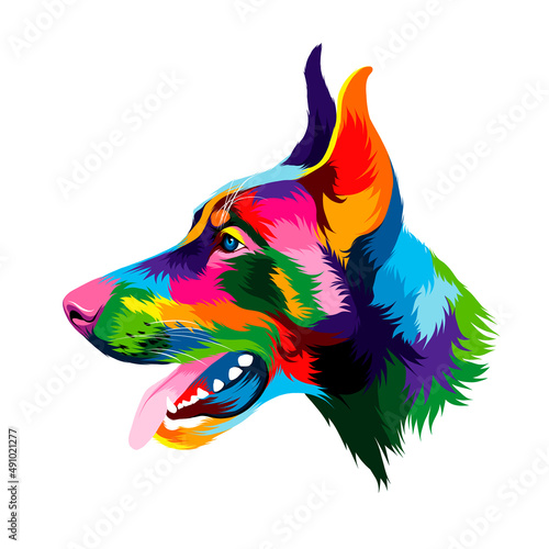 Abstract doberman head portrait from multicolored paints. Colored drawing. Vector illustration of paints
