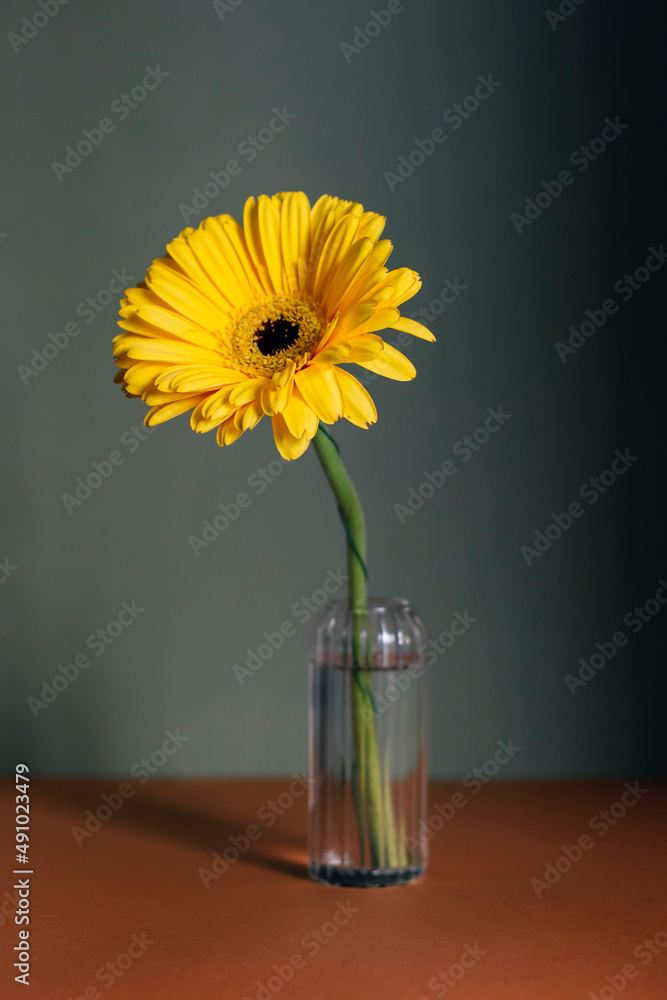 Fototapeta premium Yellow flower in glass vase on green background and brown table