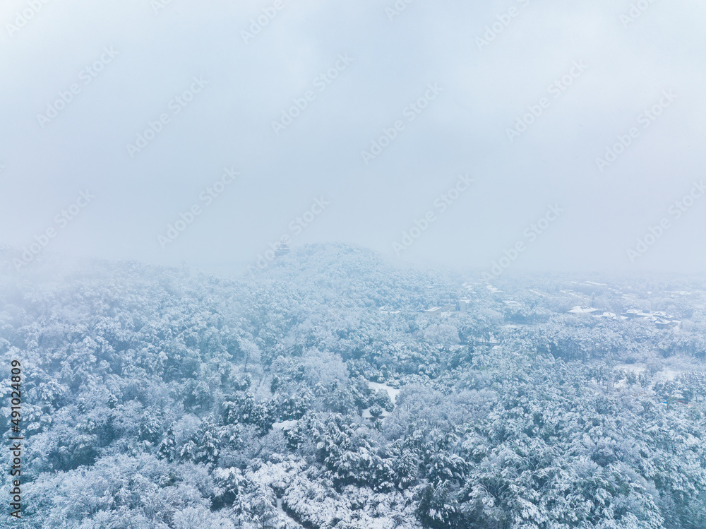 custom made wallpaper toronto digitalWinter snow scene in Moshan Scenic Area, East Lake, Wuhan, Hubei