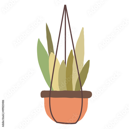 Plant in hanging pots. Decorative indoor plants, macrame flower pots, home potted plants vector illustration icons set. Handmade hangers for flower decoration.
