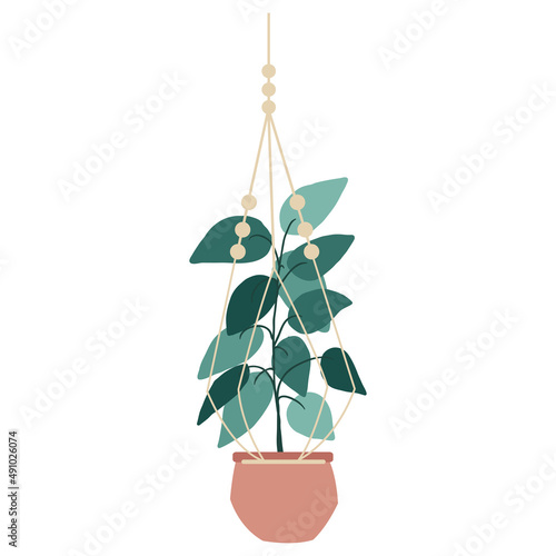 Plant in hanging pots. Decorative indoor plants, macrame flower pots, home potted plants vector illustration icons set. Handmade hangers for flower decoration.