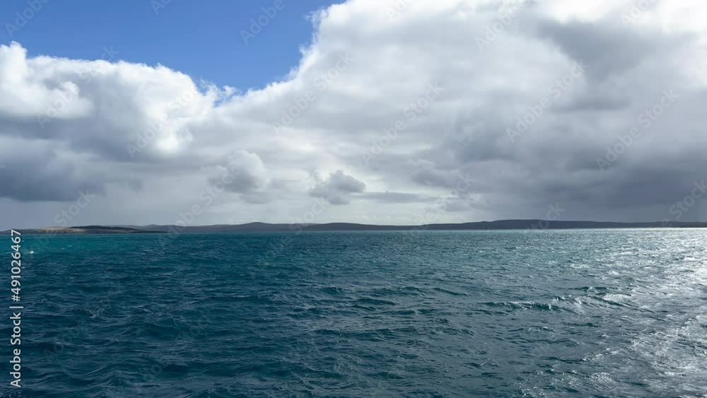 Neptune islands, port Lincoln, world famous for great white sharks. Australia. Neptune islands, port Lincoln, world famous for great white sharks. Australia.