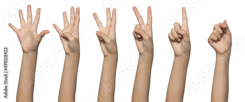 Set of hands making the numbers from 0 to 5