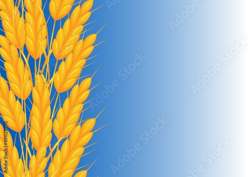 Wheat ears on a blue gradient background.