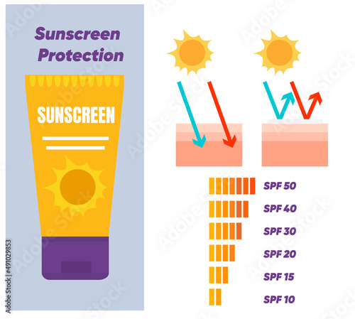 vector infographic of Sun protection,skin care concept,sunscreen, sunblock. SPF