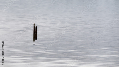 Due pali infilati nell'acqua del mare per ormeggio delle barche. photo
