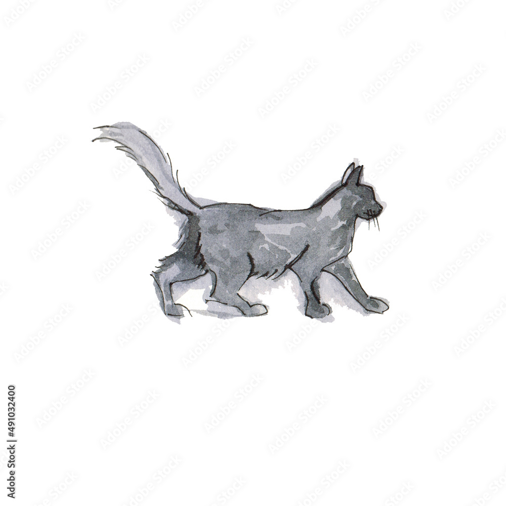 Fototapeta premium Watercolor drawing of a cute cat on a white background.