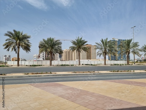 Photography Palm trees in the city Dubai, UAE.