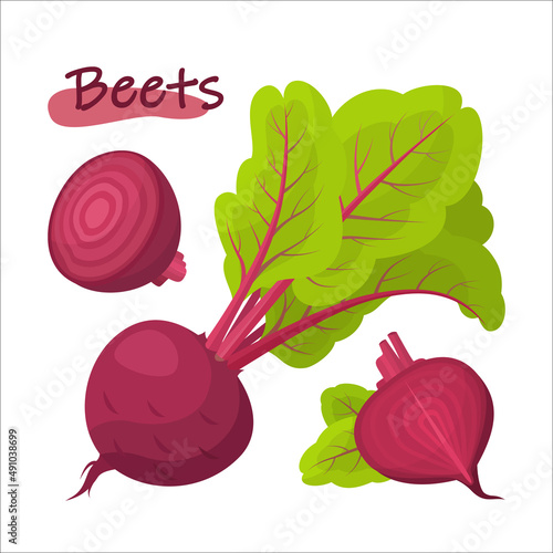 Fresh red beet with leaf in cartoon style. Vector whole and parts sweet red beet isolated on a white background.