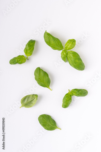 Fresh basil leaves on a white background top down view
